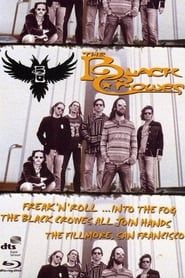 watch The Black Crowes - Freak 'n' Roll... Into the Fog