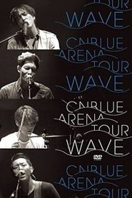 Image CNBLUE 2014 Arena Tour -Wave-