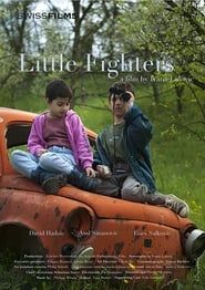 Little Fighters (2010)
