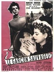 watch Le Garçon sauvage