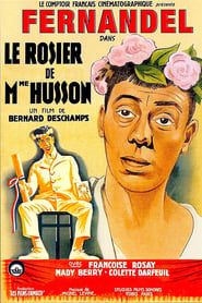 Image Le rosier de Madame Husson 1932