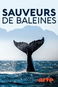 Image Sauveurs de baleines : les héros de l'île Campobello