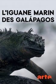 The Marine Iguanas of the Galapagos series tv