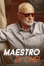 Maestro di che! (2011)