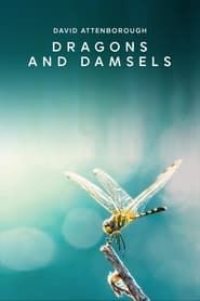 Dragons and Damsels series tv
