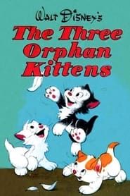 Image Three Orphan Kittens 1935