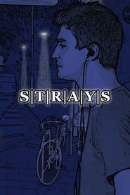 S|T|R|A|Y|S 2017 streaming