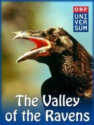 Valley of the Ravens series tv