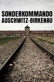 Sonderkommando Auschwitz-Birkenau series tv