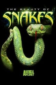 The Beauty of Snakes series tv