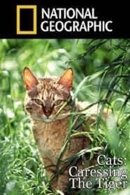 Cats: Caressing The Tiger series tv