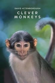 Clever Monkeys series tv