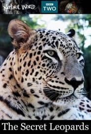 The Secret Leopards series tv