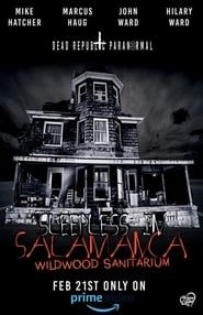 Sleepless in Salamanca: Wildwood Sanitarium series tv