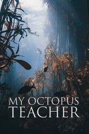 My Octopus Teacher series tv