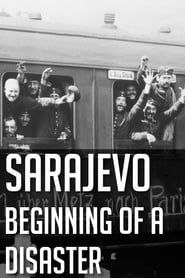 Sarajevo: Beginning of a Disaster series tv