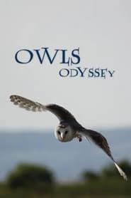 Image Owl's Odyssey