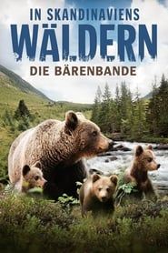 In Skandinaviens Wäldern - Die Bärenbande series tv