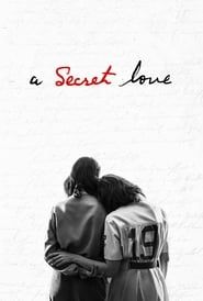 A Secret Love series tv