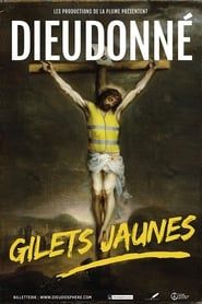 Image Dieudonné - Gilets Jaunes