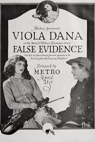 False Evidence series tv