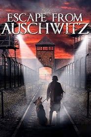 The Escape from Auschwitz series tv