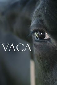 Vaca (2018)