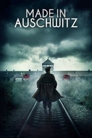 Made in Auschwitz: The Untold Story of Block 10 series tv