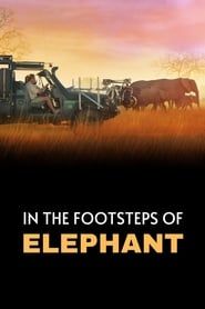 In the Footsteps of Elephant (2020)