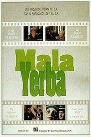 watch Mala yerba
