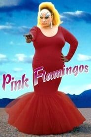 Affiche de Pink Flamingos