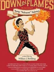 Image Down in Flames: The True Story of Tony Volcano Valenci 2014