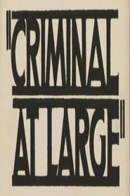 A Criminal at Large (1939)