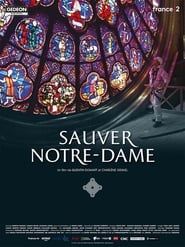 Sauver Notre-Dame series tv
