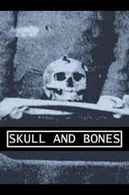Skull and Bones series tv