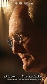 Atticus v. the Architect: The Political Assassination of Don Siegelman series tv