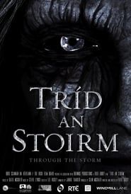 Through the Storm series tv
