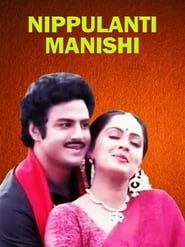 Nippulanti Manishi (1986)