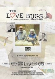 Image The Love Bugs