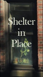 Image Shelter in Place