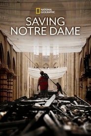Image Saving Notre Dame
