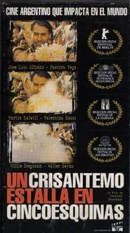 A Crysanthemum Bursts in Cincoesquinas series tv