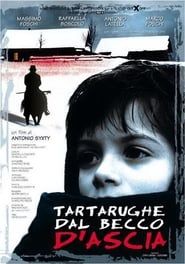 Tartarughe dal becco d'ascia (2000)