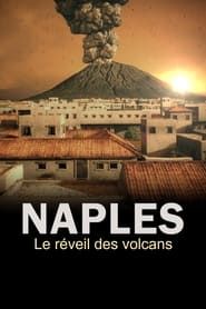 Image Naples, le réveil des volcans