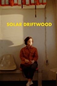 Image Solar Driftwood