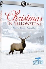 Noël Au Yellowstone