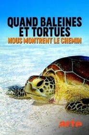Quand baleines et tortues nous montrent le chemin 2020 streaming
