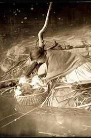 Skovsøens Datter (1912)