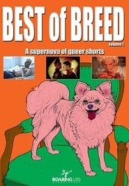 Image Best of Breed Volume 1 2008