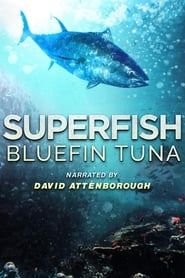 Image Superfish: Bluefin Tuna